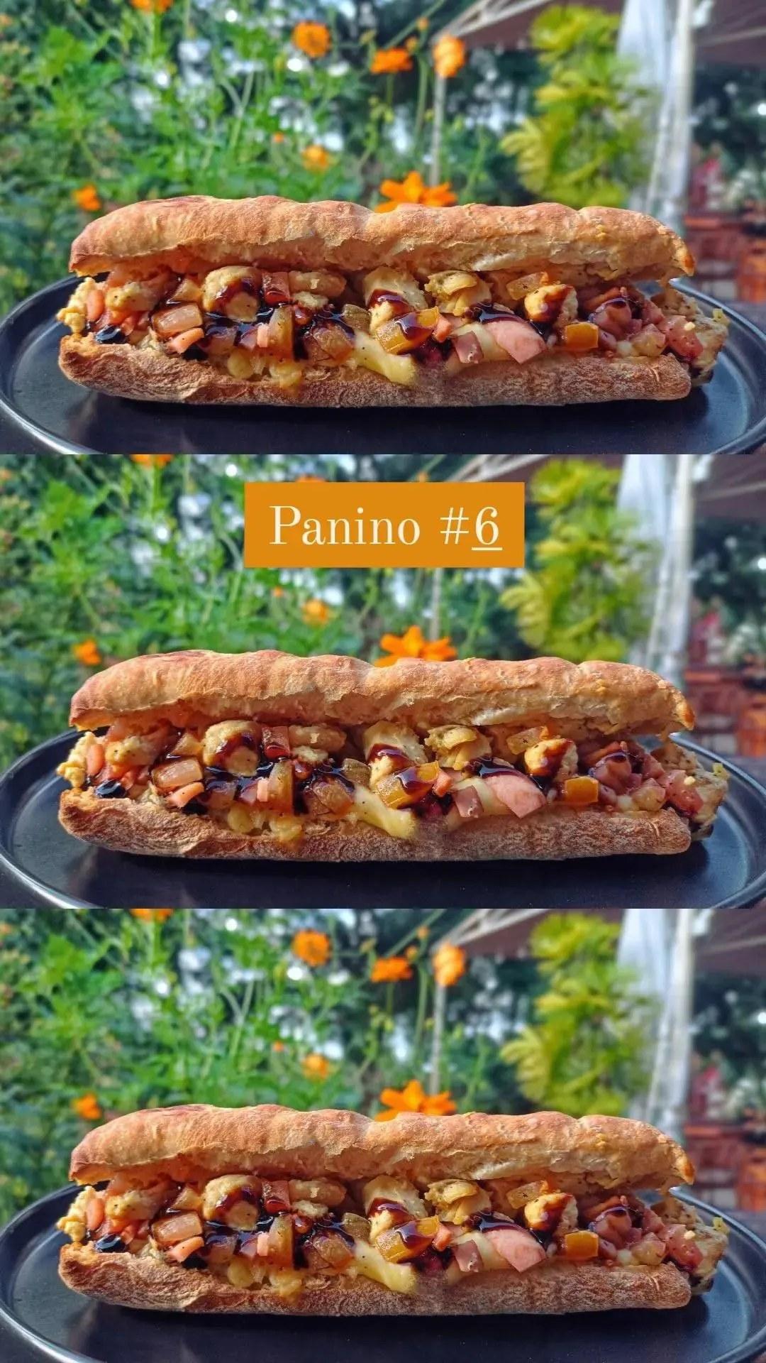 Panino #6