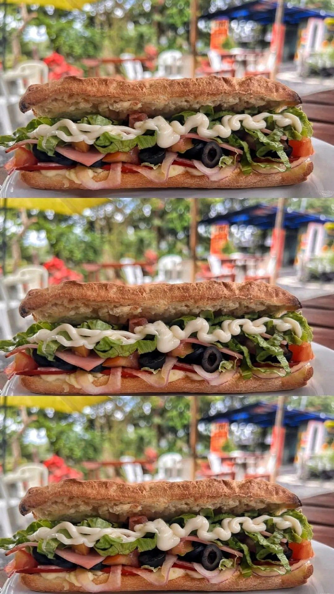 Panino #9